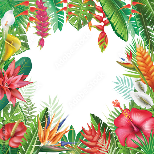 Border with tropical plants and flowers