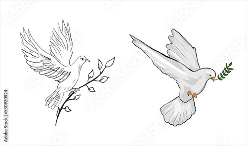 A dove carrying an olive branch. exemplar of peace. World peace. Hand drawing vector illustration