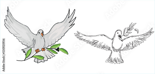 A dove carrying an olive branch. exemplar of peace. World peace. Hand drawing vector illustration