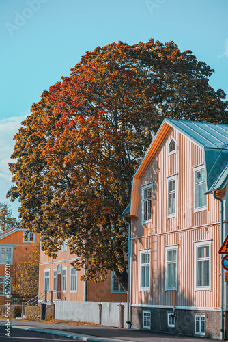 House with big tree in Mariehamn photo