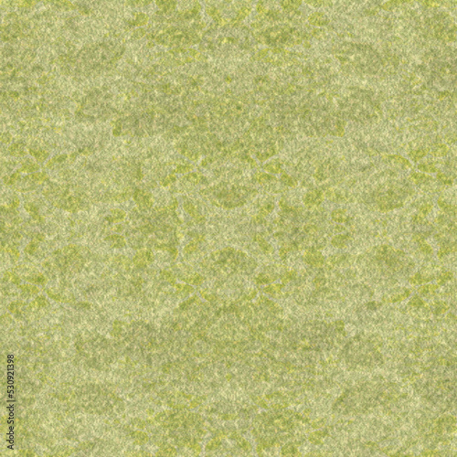 green grass texture