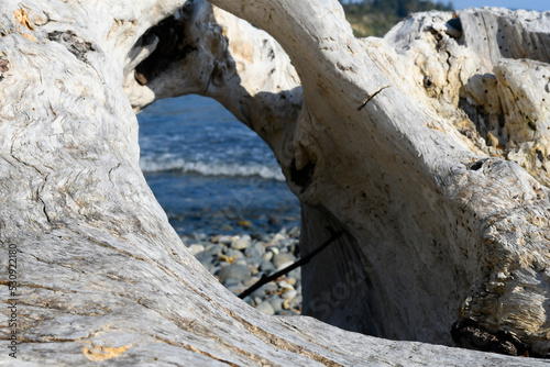 An image of a large piece of drift wood with a hole in the center so you can see the ocean waves. 