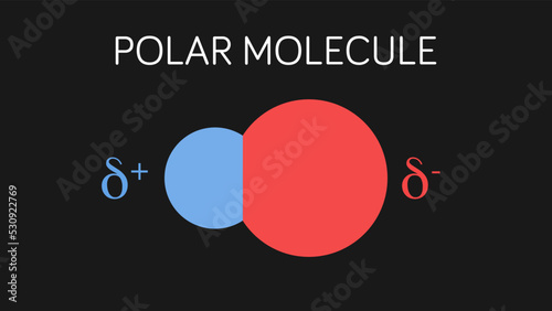 Vector illustration of polar molecule dipole.
