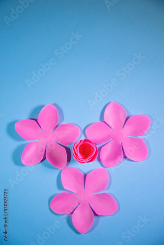 Pétalos de flor en fondo celeste, concepto de tarjetas florales, invitaciones diseño editable. © JAHF