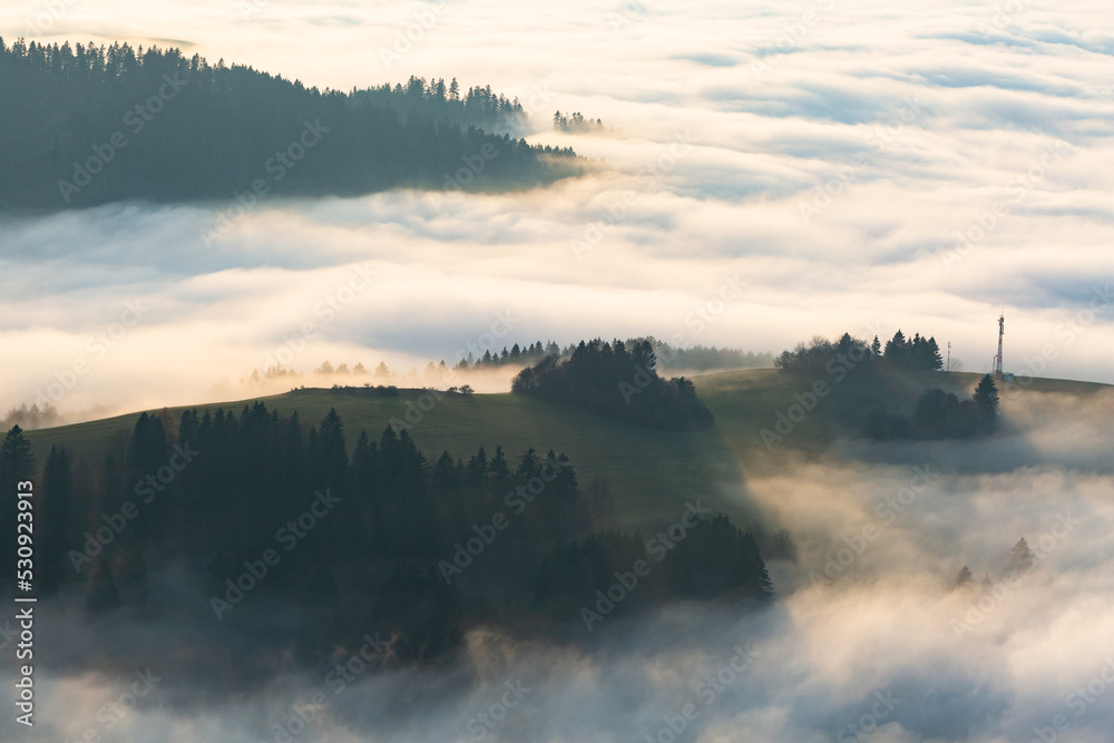 Fog in the foothills of Velka Fatra national park, Slovakia. Fog in the foothills of Velka Fatra national park, Slovakia.