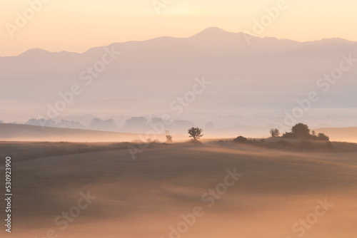 Morning mist in the fields at Ondrasova village  Slovakia.