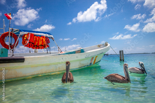 Cancun idyllic caribbean beach with boat and pelican  Riviera Maya  Mexico