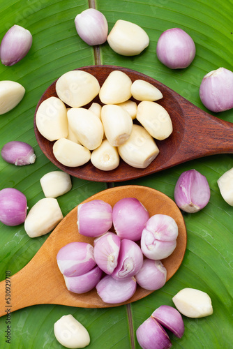 Fresh garlic with shallot on green leaf