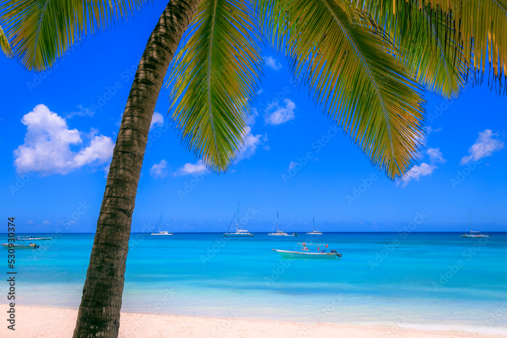 Tropical caribbean beach with sailboats and boat, Punta Cana, Dominican Republic