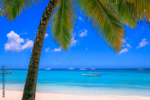 Fototapeta Naklejka Na Ścianę i Meble -  Tropical caribbean beach with sailboats and boat, Punta Cana, Dominican Republic
