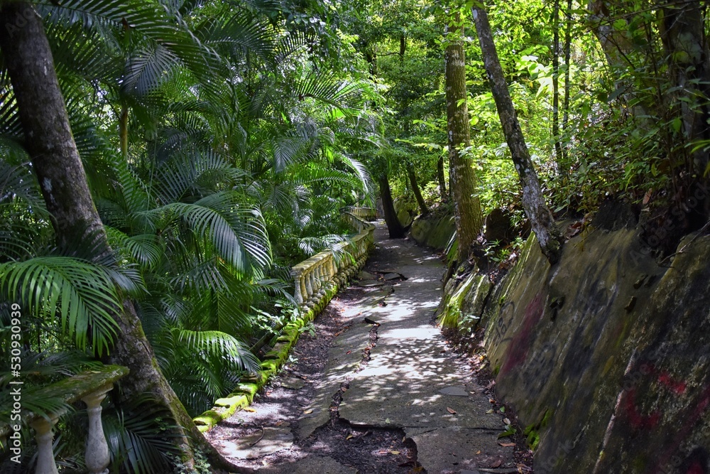 Fototapeta premium El Miro Ruins, hiking trail views, abandoned mansion, declared biological corridor, in the province of Jaco, Costa Rica 2022, Central America.