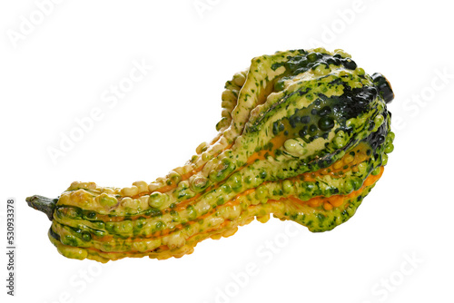 Isolated ornamental yellow orange and green gourd