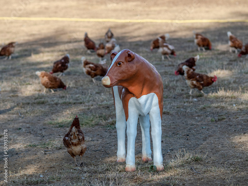 Plastik Kühe im Hühnergehege
