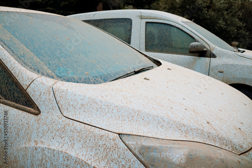 Detail of white cars very dirty from rains of mud  unwashed and neglected  covered in dust.