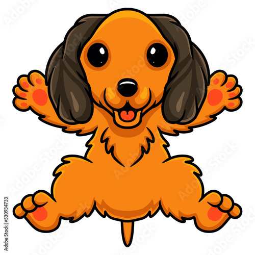 Cute dachund dog cartoon posing