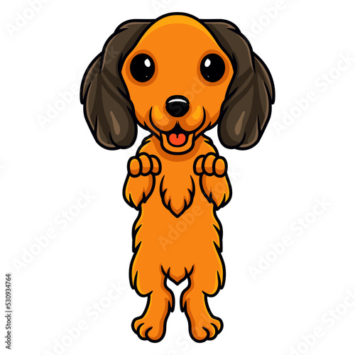 Cute dachund dog cartoon posing