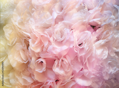 Pretty pastel floral background or texture, flower petal texture