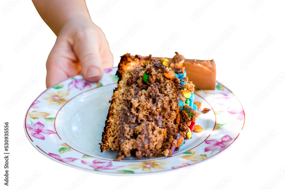 Woman delivering piece of chocolate cake. Woman delivering piece of chocolate cake.