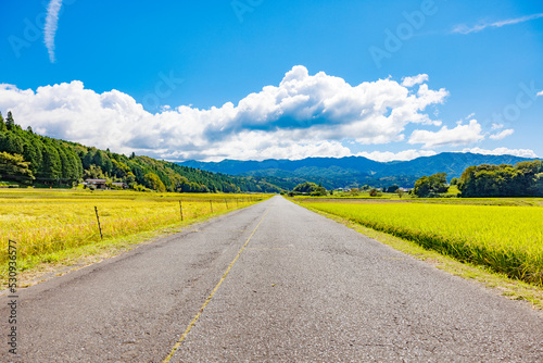 【岐阜県】秋の風景