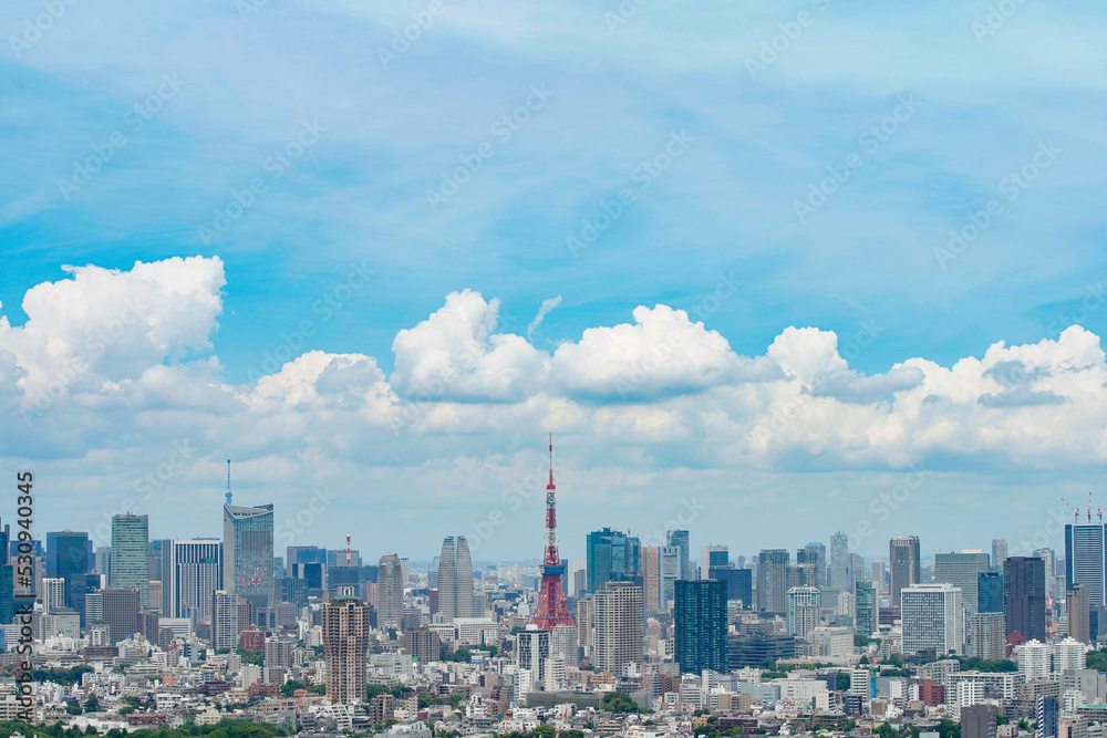 Fototapeta premium 東京都心