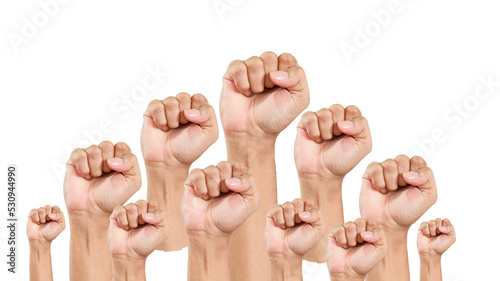 Billede på lærred Group of hands showing up as a symbol of victory, success or power, white backgr