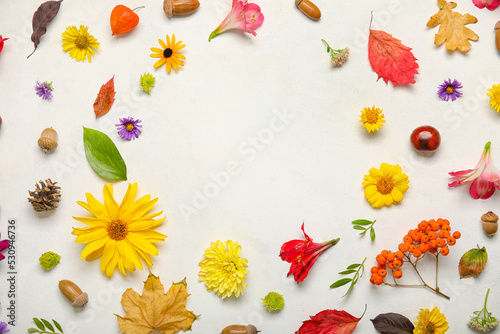 Frame made of beautiful autumn flowers and natural forest decor on light background