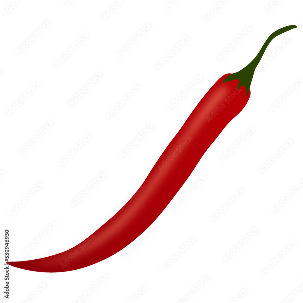 Red Chili Pepper. Chili Hot Red Chili Pepper. Chili Hot
