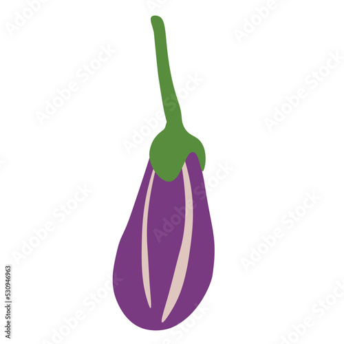 Fresh eggplant illustration and vector. Eggplant symbol and icon