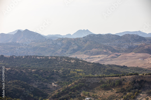 Green landscape of the Andalusia countryside, Spain with hills and generic vegetation © anca enache