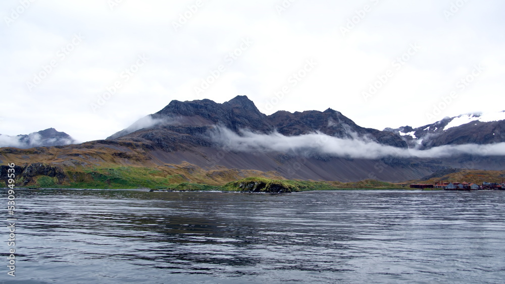 Mountains with a lush, green coastline at Leith Harbor, South Georgia Island