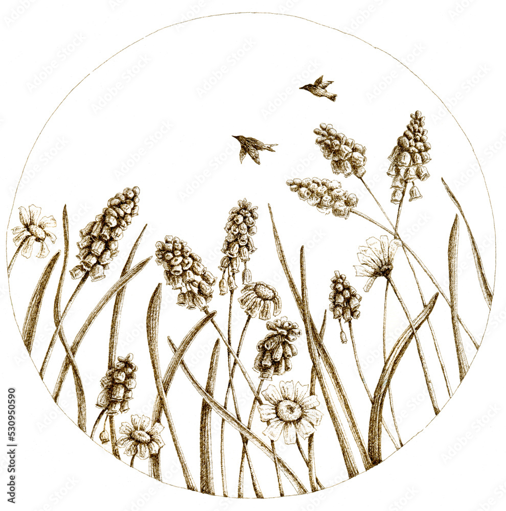Fotografija Hand drawn coloring page