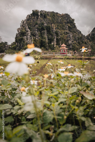 A Vietnamese temple with karst mountains in the background and white and yellow blurred flower in the foreground on a cloudy