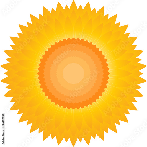 Flower icon sign symbol