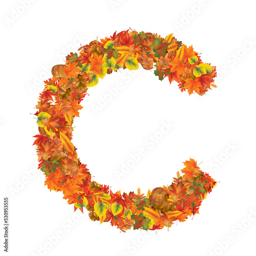 Alphabet set with letters in individual fonts and numbers made from autumn leaves and pumpkin. Can be used as decorative elements and design ornaments