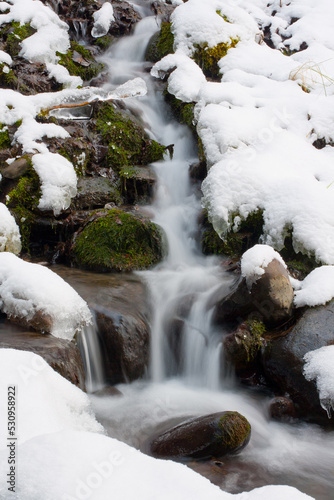 Mountain Stream in the Winter