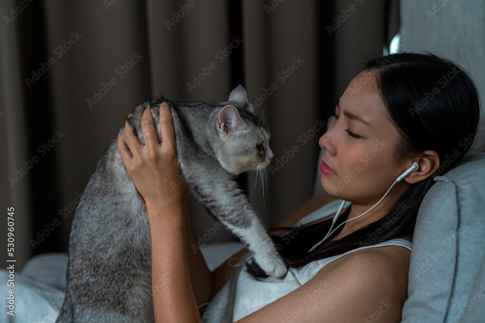 White tabby cat comforting his owner while she crying. Loneliness young Asian woman sitting on couch crying with sadness and negative emotion. Mental health, life problems and animal therapy concept. White tabby cat comforting his owner while she crying. Loneliness young Asian woman sitting on couch crying with sadness and negative emotion. Mental health, life problems and animal therapy concept.