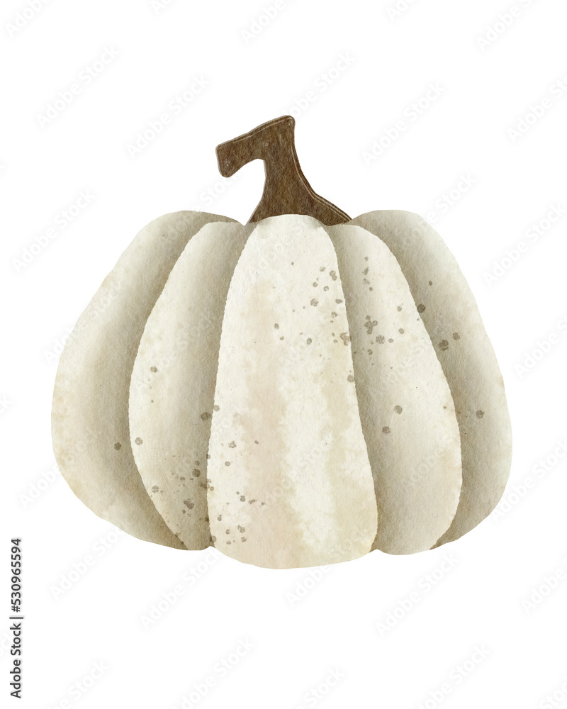Watercolor pumpkin illustration Watercolor pumpkin illustration