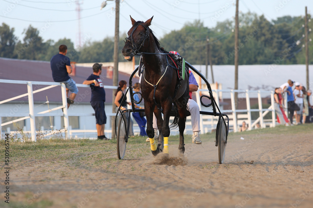 Horse and rider running at horse races Horse and rider running at horse races