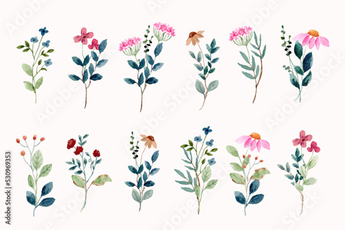 floral garden bouquet watercolor collection
