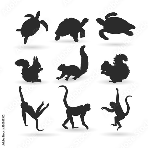 vector set of animal, turtle, squirrel and monkey silhouette illustrations