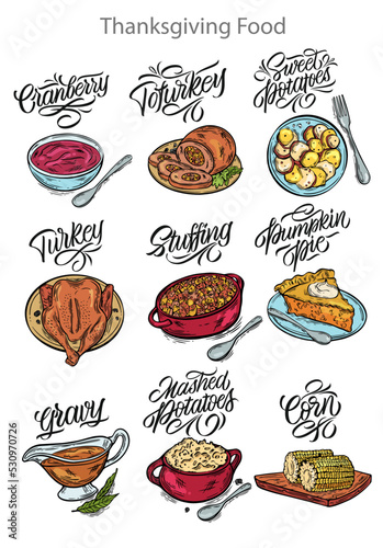 Vector illustration. Thanksgiving food. Illustrations for menus in cafes, restaurants, stickers. Handwritten lettering.