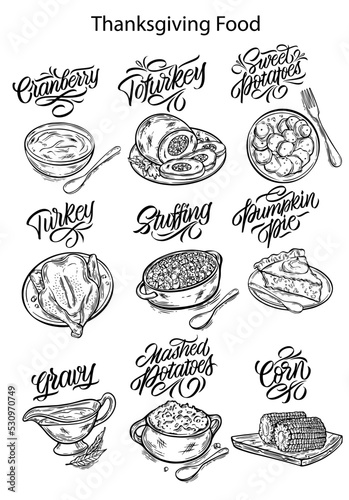 Vector illustration. Thanksgiving food. Illustrations for menus in cafes, restaurants, stickers. Handwritten lettering.