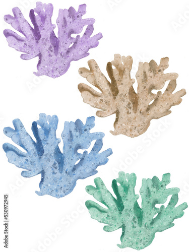 Illustration of different colourful  corals. Idea for design, books, children’s art, cartoon, print
