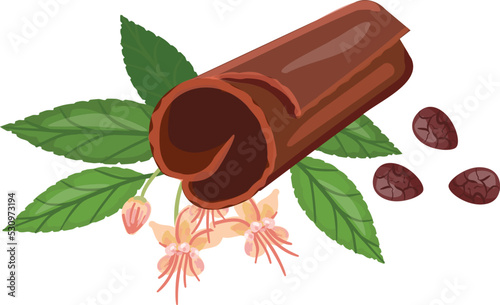 Cacao butter icon cartoon vector. Cocoa bean. Tree powder