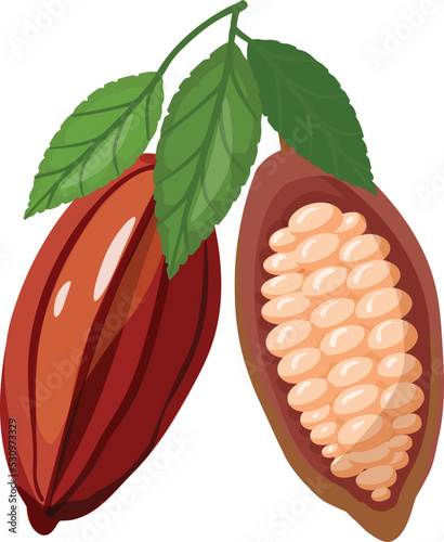 Cocoa fruit icon cartoon vector. Cacao bean. Plant tree