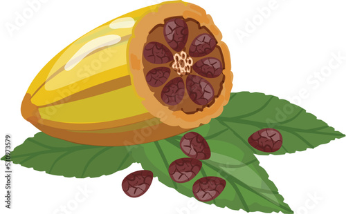Tree cacao fruit icon cartoon vector. Leaf nut. Coffee seed