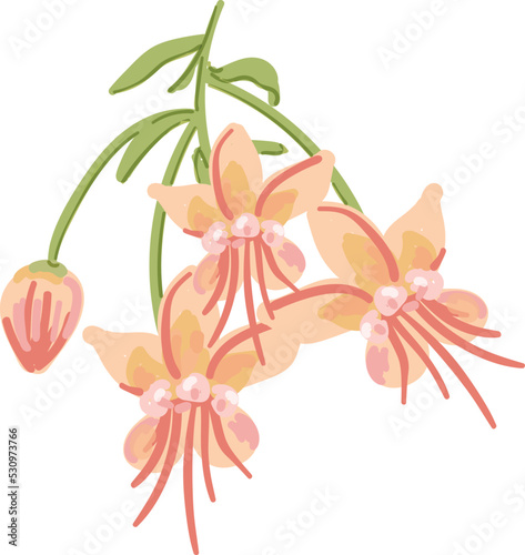 Flower cacao tree icon cartoon vector. Cocoa bean. Plant powder