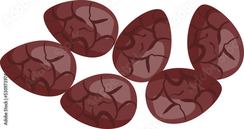 Cocoa seed icon cartoon vector. Plant flavor. Dark fruit