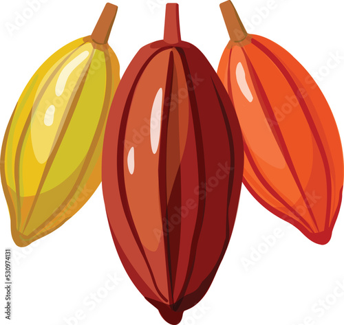 Cocoa tree pod icon cartoon vector. Farm leaf. Cacao bean