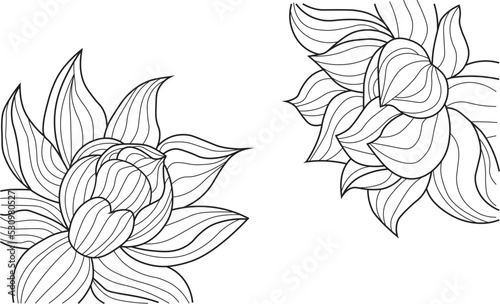 Vintage baroque frame engraving scroll ornament Vector frame. Vintage invite. Art deco pattern. Nature symbol